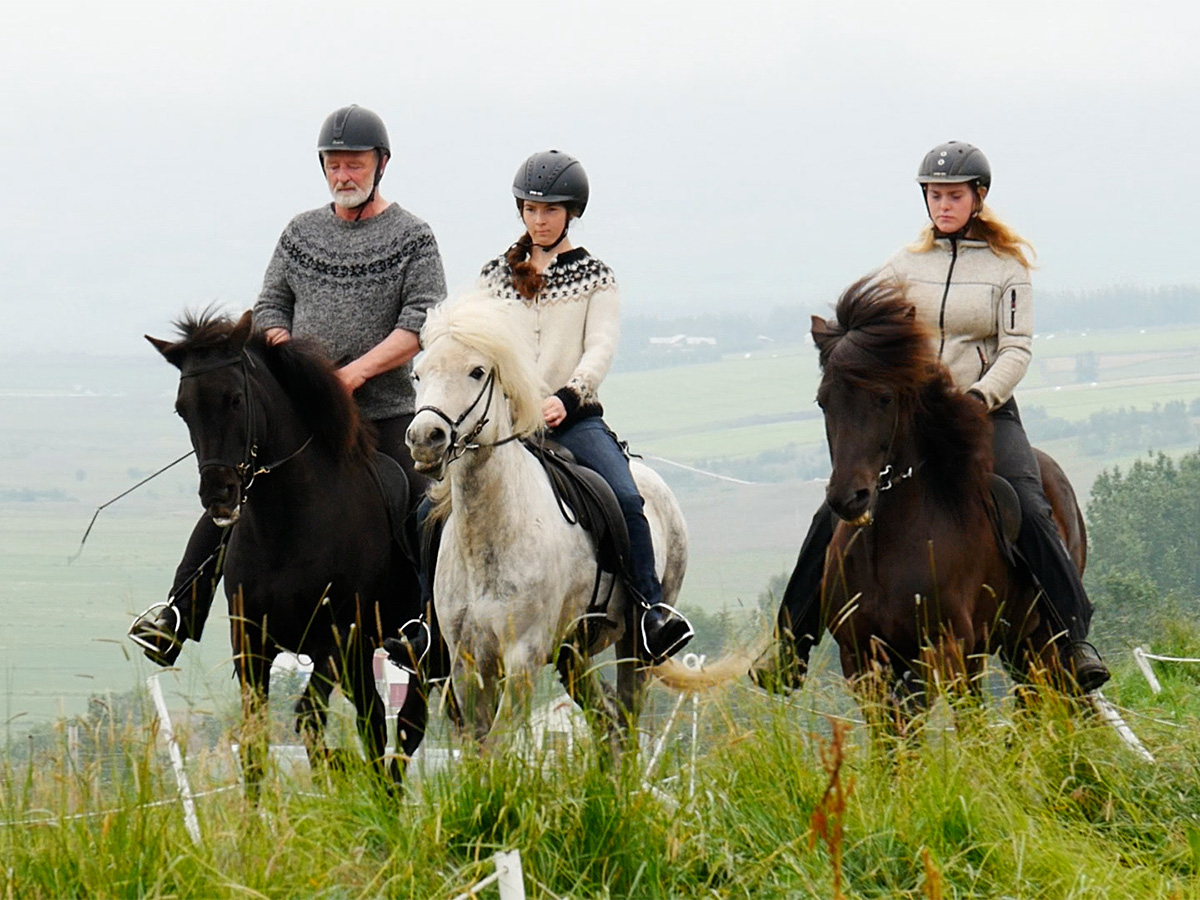 VillMera AB office and team in Västerhaninge