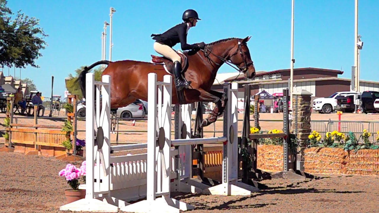 Equestrian competition event