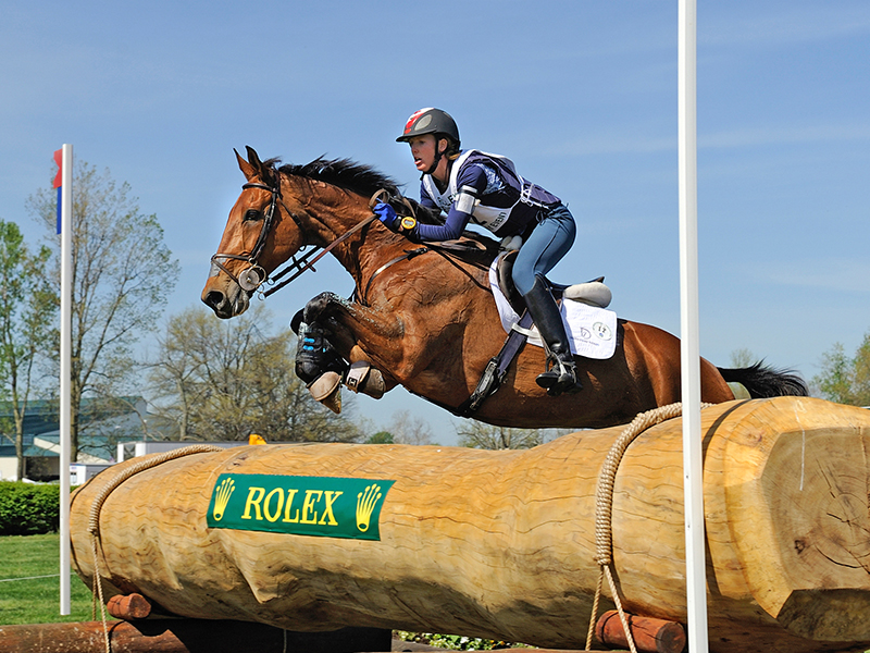 Horse training session